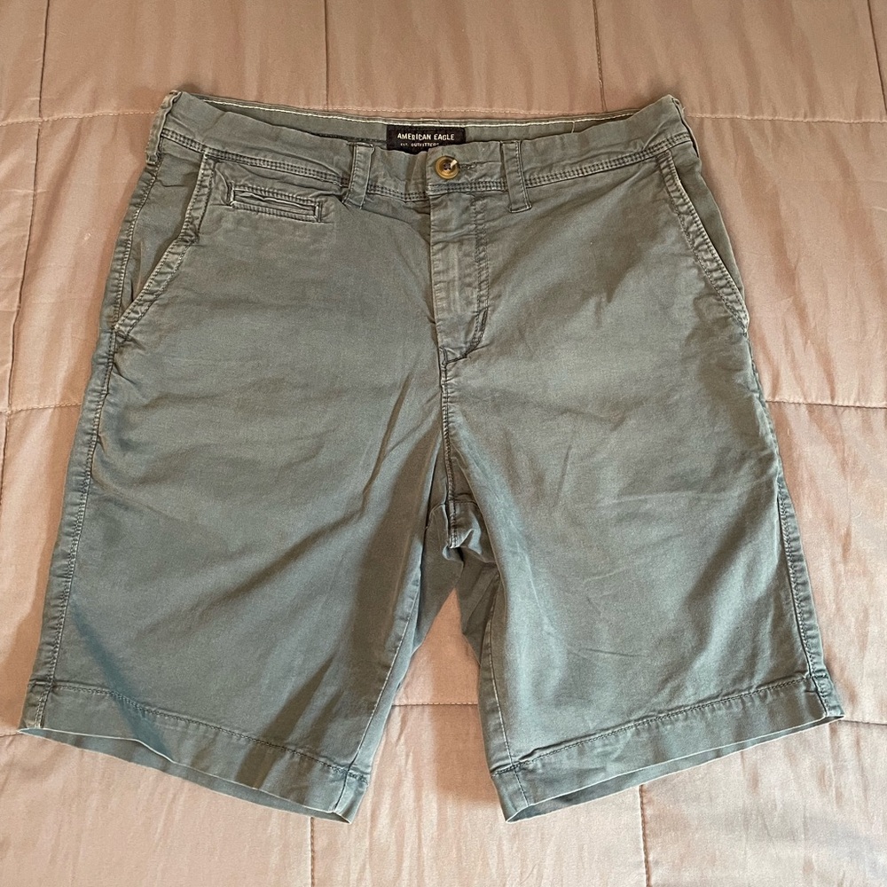 American Eagle Outfitters Men's Blue-Green Shorts